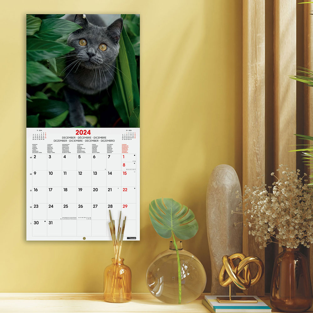 Calendario De Pared Finocam X Cm Cats Papeler A Lumen