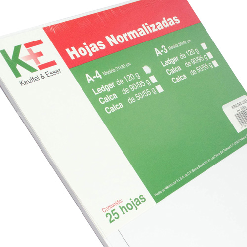 HOJAS NORMALIZADAS KE LEDGER Dibujo