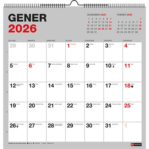 Foto de Agenda 2026 Pared Cat Para Escribir Basic 30X30Cm 30X30 