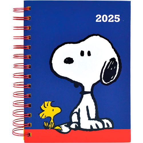 Foto de Agenda Juvenil Danpex Snoopy Azul Dia Por Pagina 2025 