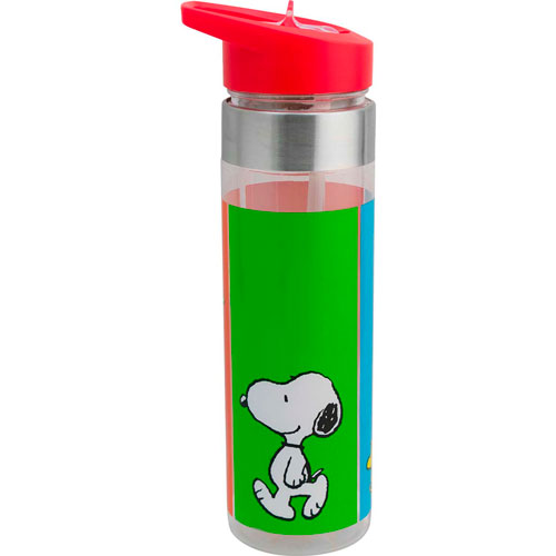 Foto de Botella Snoopy 650Ml SXXI 1721-373 