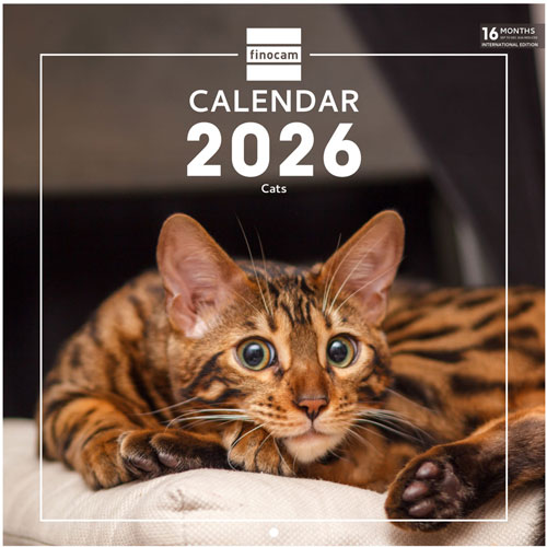 Foto de Calendario De Pared Finocam Cats 30X30Cm 26 