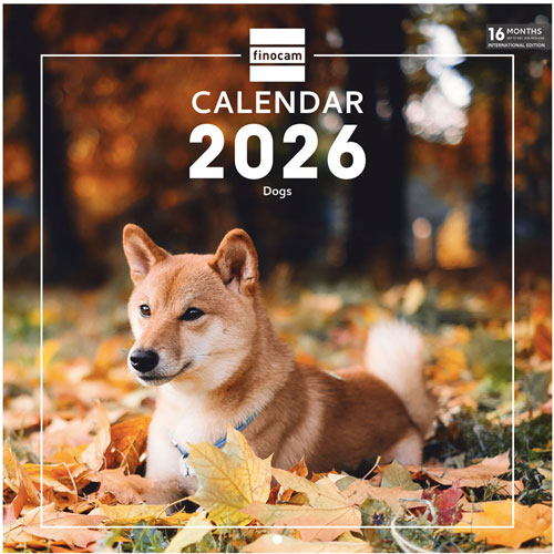 Foto de Calendario De Pared Finocam Dogs 30X30Cm 26 