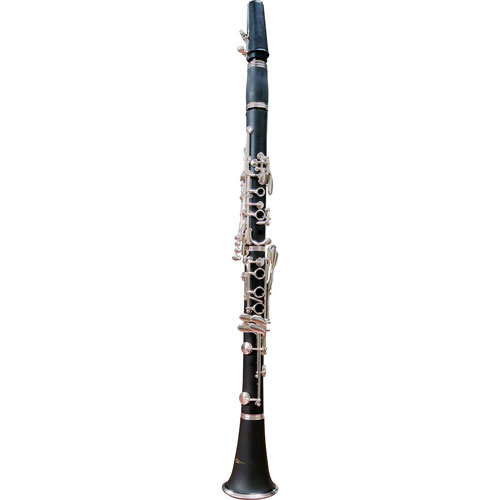 Foto de CLARINETE SCL1000 