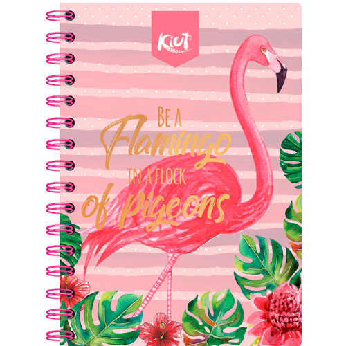 CUADERNO FORMA FRANCESA KIUT CUADRO CHICO 100 HOJAS | Norma | Escolar ...