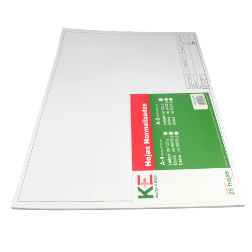 HOJAS NORMALIZADAS KE LEDGER KE Block escolar