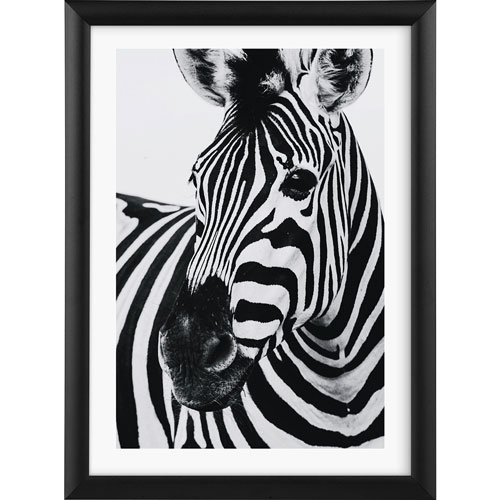 Foto de Marco Goldbuch 93 0622 Aluminio Black 10X15Cm 
