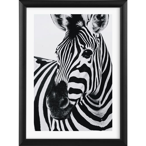 Foto de Marco Goldbuch 93 0624 Aluminio Black 15X20Cm 