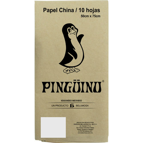 Foto de Papel China 50X75Cm 18 Gr Con 10 Pliegos Beige 