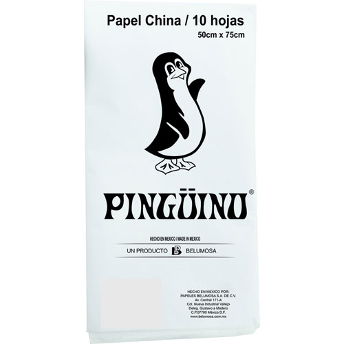 Foto de Papel China 50X75Cm 18 Gr Con 10 Pliegos Blanco 