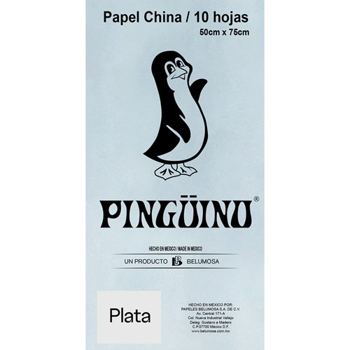 Foto de Papel China Con 10 Pliegos Metalico Plata 50X75Cm 18Gr 