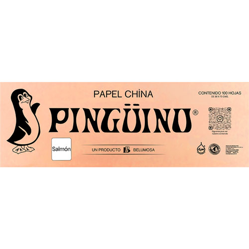 Foto de Papel China Con 100 Pliegos Salmon 50X75Cm 18Gr 