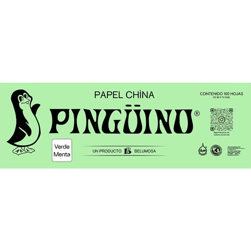 Foto de Papel China Con 100 Pliegos Verde Menta 50X75Cm 18Gr 