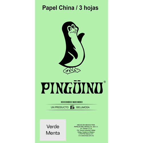 Foto de Papel China Con 3 Pliegos Verde Menta 50X75Cm 18Gr 