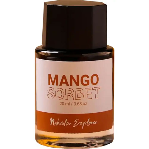 Foto de Tinta Para Pluma Nahvalur Tn0120 Explorer Mango Sorbet 