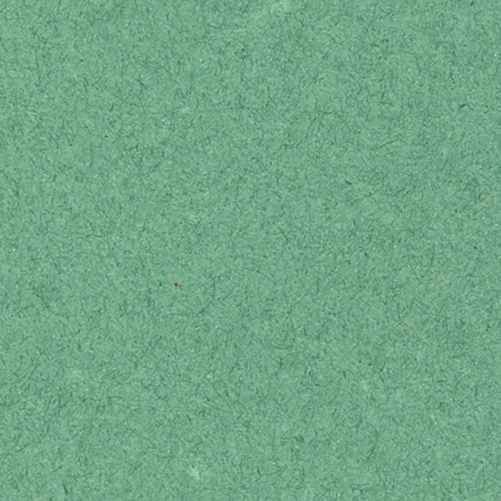 Cartoncillo Premium Rayter Verde 50X70 CM 120 G | Papelería Lumen