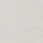 Cartulina astrosilver de 220 g 70x100 cm