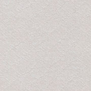 Cartulina astrosilver de 220 g 70x100 cm