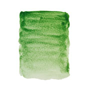 Foto de Pintura Acuarela Schmincke Horadam Naturals Verde Tintorero 15 ML 