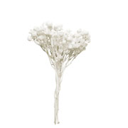 Foto de Árboles blanco para maquetas 2-4 cm