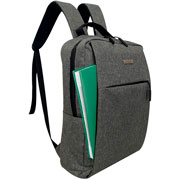 Foto de Backpack Peaktour Detroit 15.6 Pulg Usb Gris 