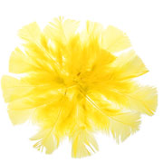 Foto de Bolsa De Plumas Barrilito De Color Amarillo 18 Gramos 