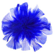 Foto de Bolsa De Plumas Barrilito De Color Azul Marino 18 Gramos 