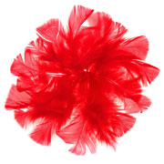 Foto de Bolsa De Plumas Barrilito De Color Rojo 18 Gramos 
