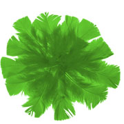 Foto de Bolsa De Plumas Barrilito De Color Verde 18 Gramos 