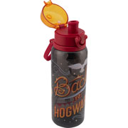 Foto de Botella SXXI 1796-30 Harry Potter 950 ml 