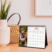 Foto de Calendario de Escritorio Finocam Dogs 2025 21x15.5 cm 