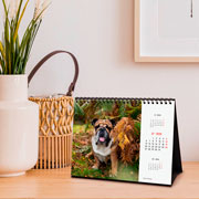 Foto de Calendario de Escritorio Finocam Dogs 2025 21x15.5 cm 