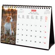 Foto de Calendario de Escritorio Finocam Dogs 2025 21x15.5 cm 