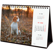 Foto de Calendario de Escritorio Finocam Dogs 2025 21x15.5 cm 