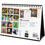 Foto de Calendario de Escritorio Finocam Dogs 2025 21x15.5 cm 