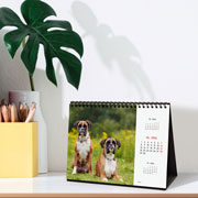 Foto de Calendario De Escritorio Finocam Dogs 21X15Cm 26 