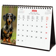 Foto de Calendario De Escritorio Finocam Dogs 21X15Cm 26 