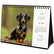 Foto de Calendario De Escritorio Finocam Dogs 21X15Cm 26 