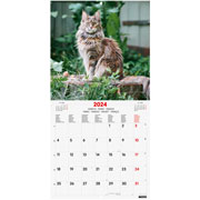 Foto de Calendario de pared Finocam 30X31cm Cats 