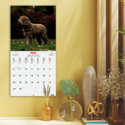 Foto de Calendario de pared Finocam 30X31cm Dogs 
