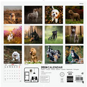 Foto de Calendario de pared Finocam 30X31cm Dogs 