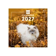 Foto de Calendario de Pared Finocam Cats 30x30 cm 2027 