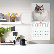 Foto de Calendario De Pared Finocam Cats 30X30Cm 26 