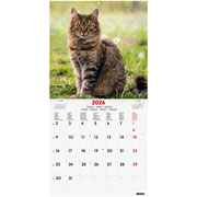 Foto de Calendario De Pared Finocam Cats 30X30Cm 26 