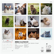 Foto de Calendario De Pared Finocam Cats 30X30Cm 26 