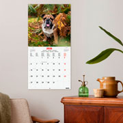 Foto de Calendario de Pared Finocam Dogs 2025 30x31 cm 