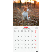 Foto de Calendario de Pared Finocam Dogs 2025 30x31 cm 