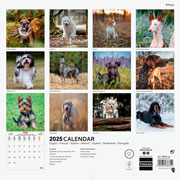 Foto de Calendario de Pared Finocam Dogs 2025 30x31 cm 