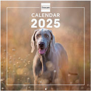 Foto de Calendario de Pared Finocam Dogs 2025 30x31 cm 