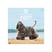 Foto de Calendario de Pared Finocam Dogs 30x30 cm 2027 